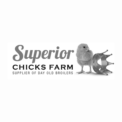 chicks